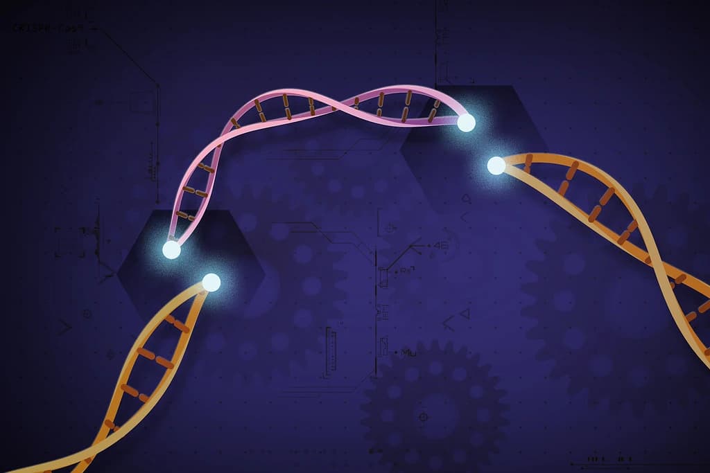 CRISPR-Cas9 gene editing illustration