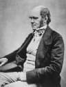 Portrait of Charles Darwin